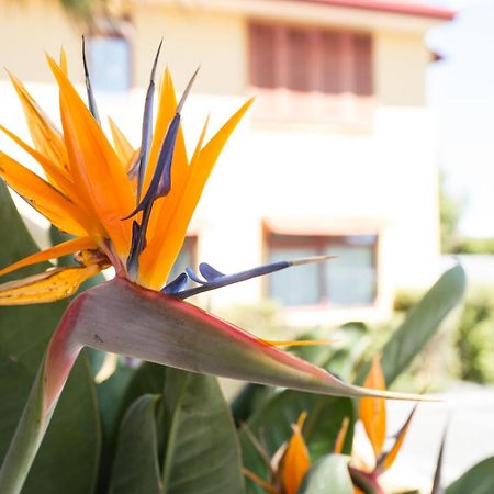 Apartments Paradiso Nelson Ngoại thất bức ảnh